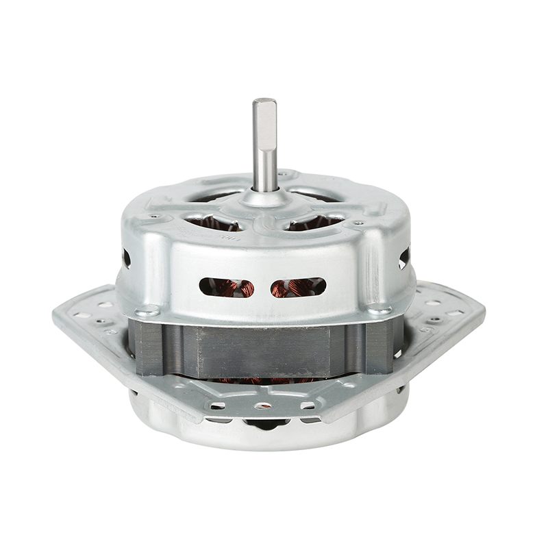 Washing machine motor extraction process